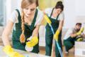 Why Choose Professional House Cleaners ? 